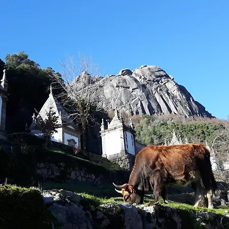Penedino Mountain Деревянный коттедж *