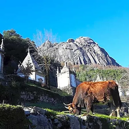 山林小屋 Penedino Mountain *