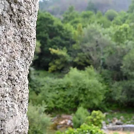 אכסניה Penedino Mountain