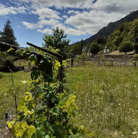 Lodge Penedino Mountain *