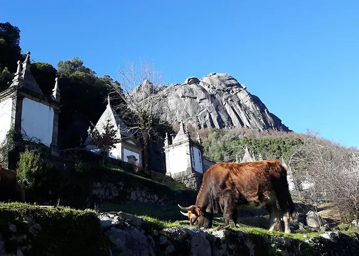 Penedino Mountain Lodge *